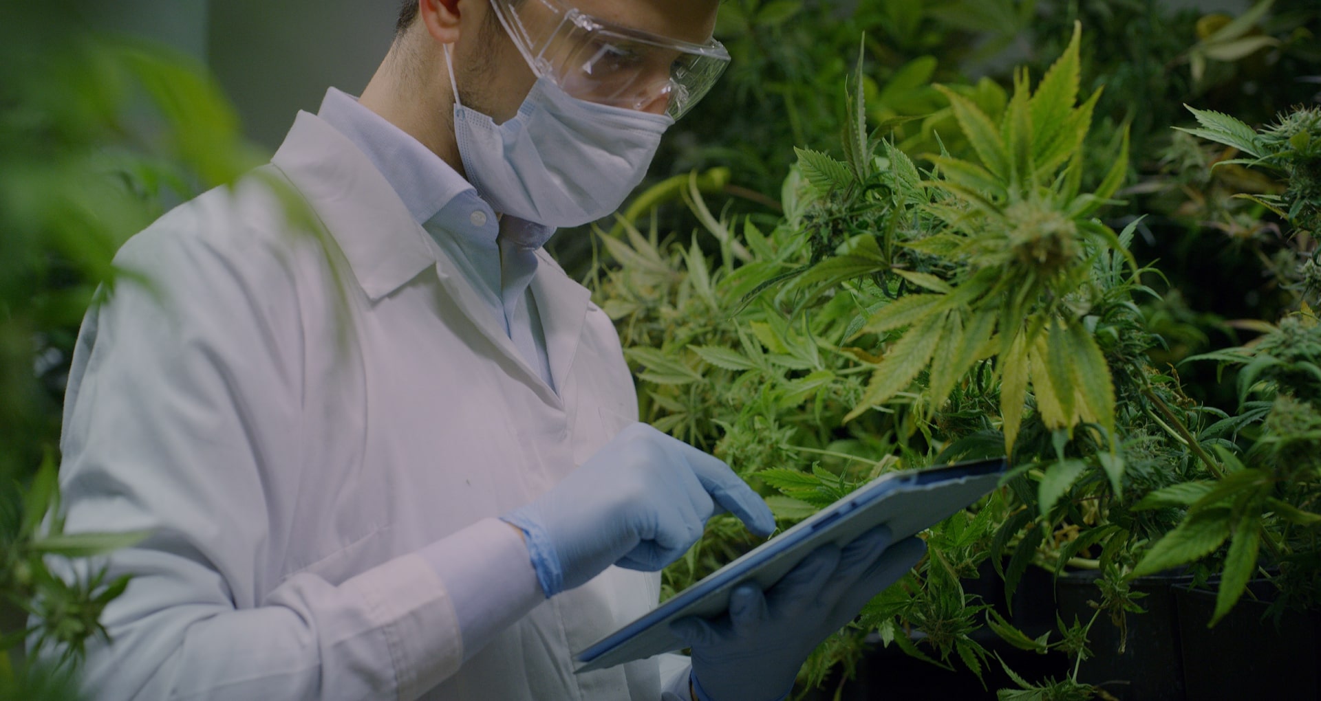 Mehr über den Artikel erfahren Neue Varianten Synthetische Cannabinoide in Europa #2- 202