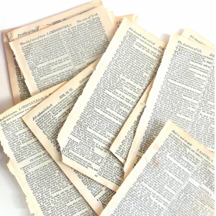 K2 Spice Heilige Bibel -1200 Seiten – A4-Format