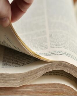 K2 Spice Heilige Bibel -1200 Seiten – A4-Format