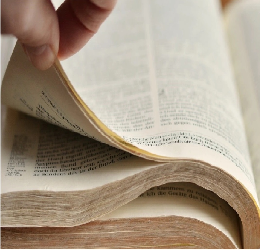 K2 Spice Heilige Bibel -1200 Seiten – A4-Format